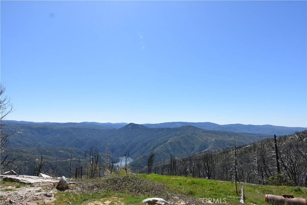 Berry Creek, CA 95916,151 Tipsoo Peak RD