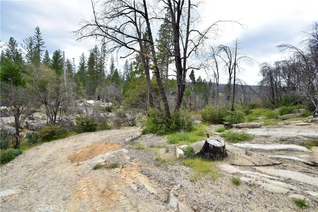 Berry Creek, CA 95916,80 Oak DR