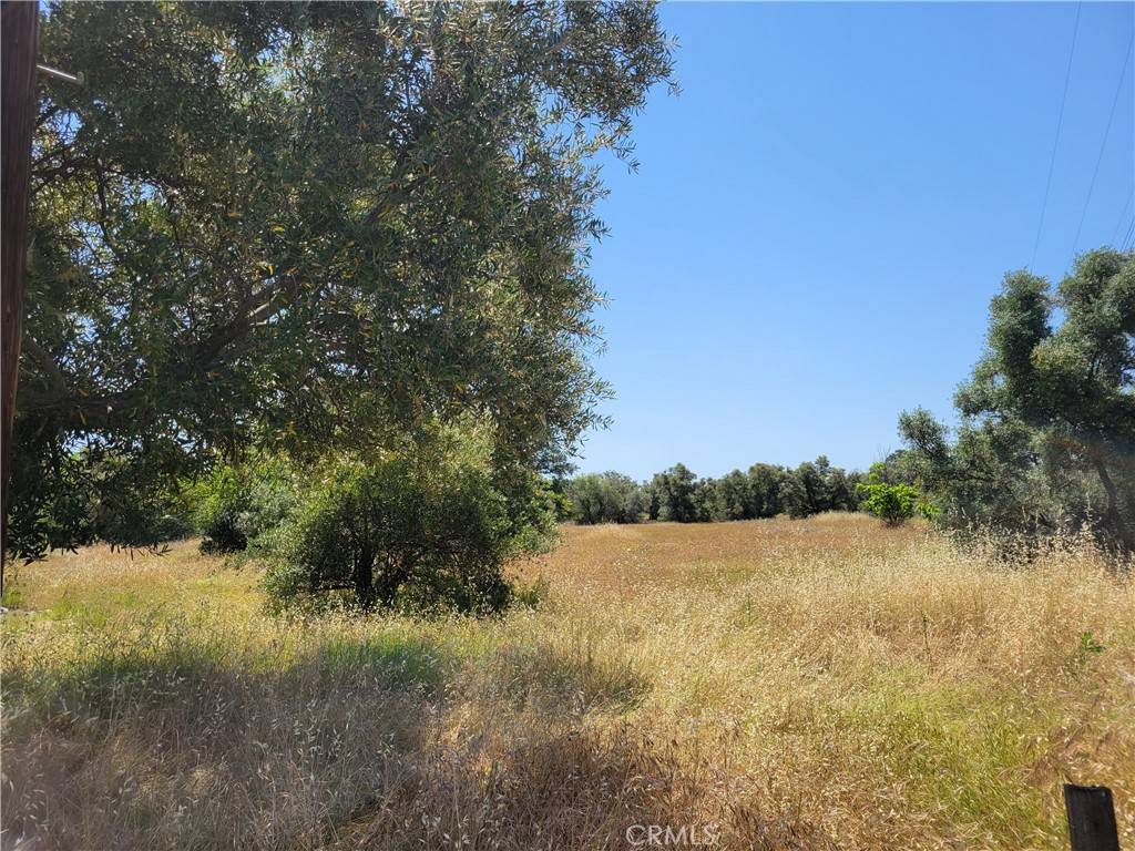 Oroville, CA 95965,0 2nd ST