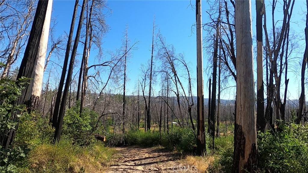 Berry Creek, CA 95916,0 Bay Ranch Road