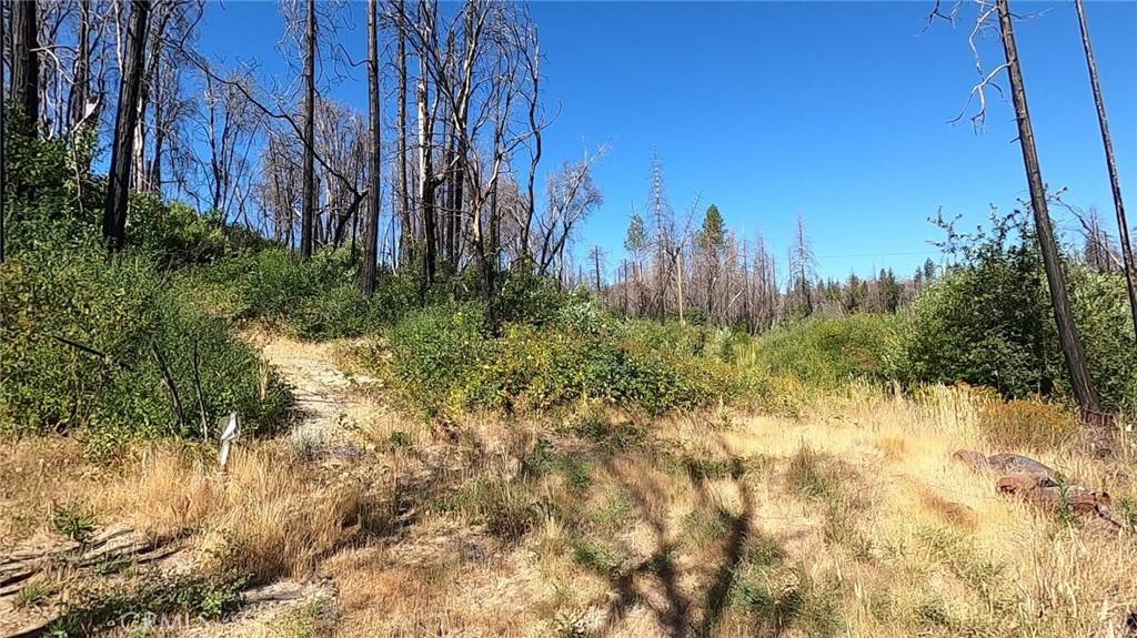 0 Bay Ranch Road Berry Creek, CA 95916
