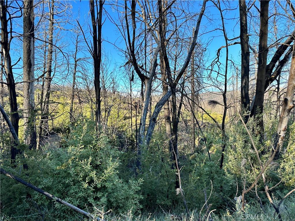 Berry Creek, CA 95916,0 Seminole