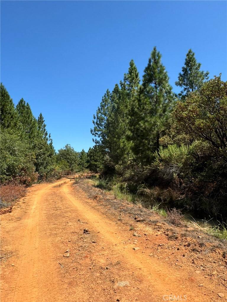 Dobbins, CA 95935,9652 Marysville RD