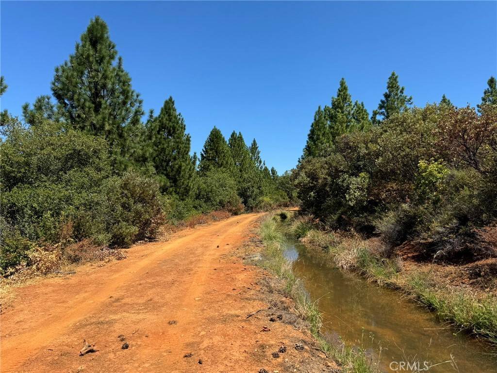 Dobbins, CA 95935,9652 Marysville RD