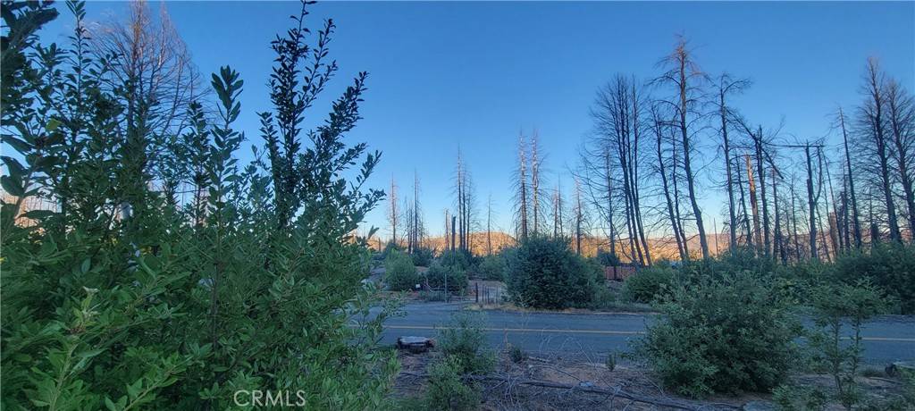 Berry Creek, CA 95916,0 Bald Rock