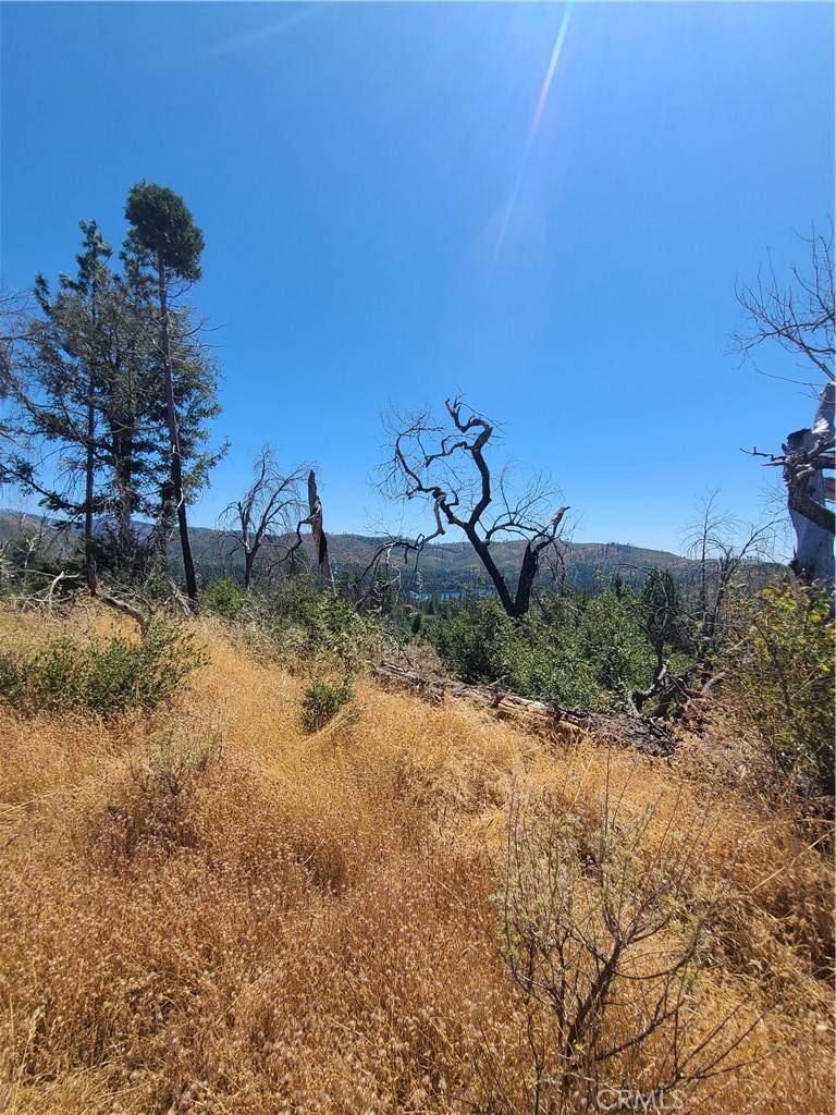 Concow, CA 95966,0 Hog Ranch Road