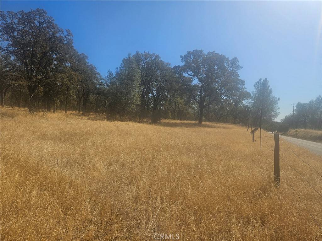 Bangor, CA 95914,0 Oro Bangor
