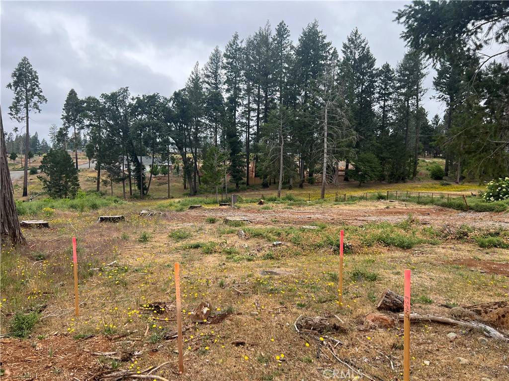Magalia, CA 95954,13821 Andover DR