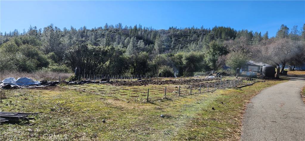 Oroville, CA 95966,238 Elams Ranch RD