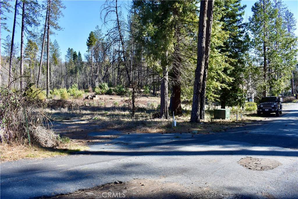 Berry Creek, CA 95916,20 Meadow LN