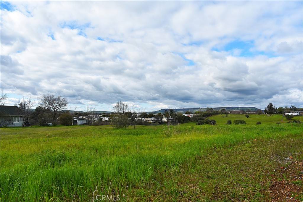 Oroville, CA 95966,2985 Greenville ST