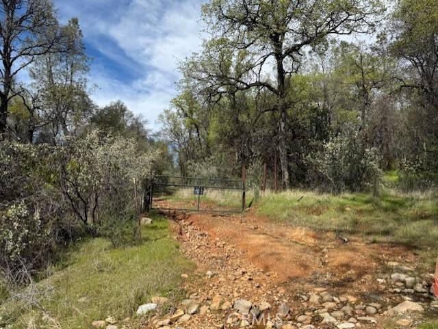Oroville, CA 95966,0 Purple Rocks LN