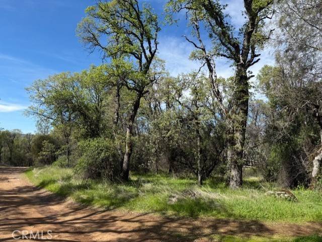 Oroville, CA 95966,0 Purple Rocks LN