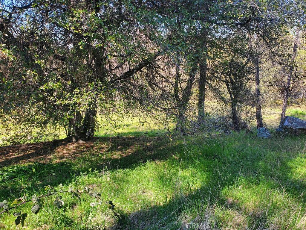 Oroville, CA 95966,520 Black Bart RD