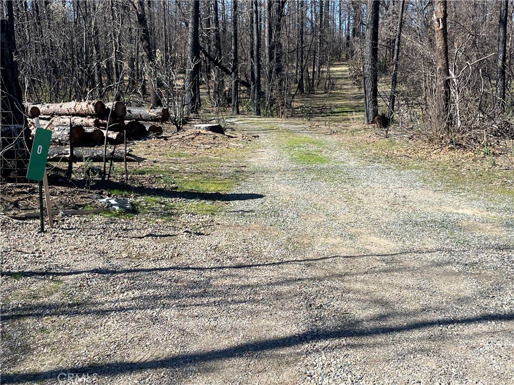 Berry Creek, CA 95916,0 Shane CT