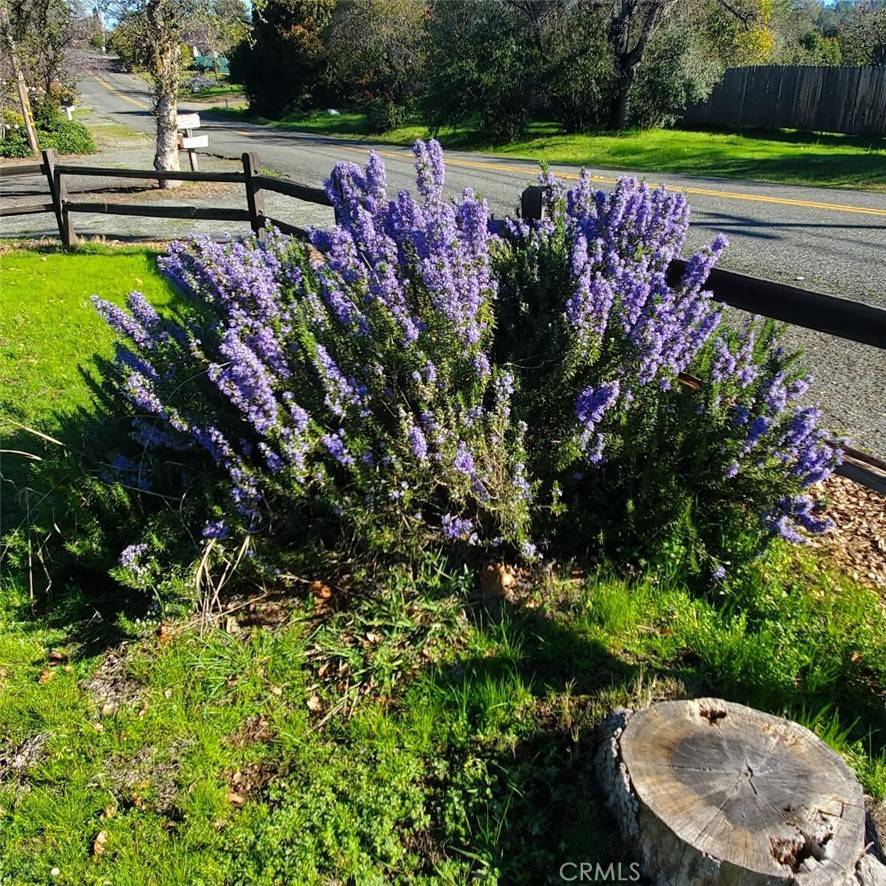 Oroville, CA 95966,190 La Mirada AVE