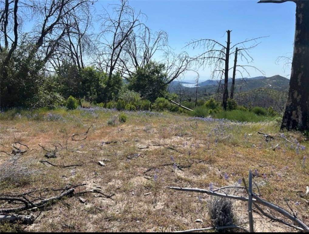 Oroville, CA 95966,129 Cedar Tree LN