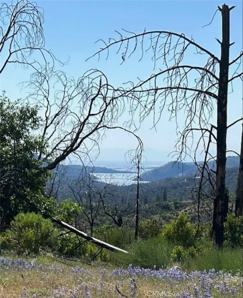 Oroville, CA 95966,129 Cedar Tree LN