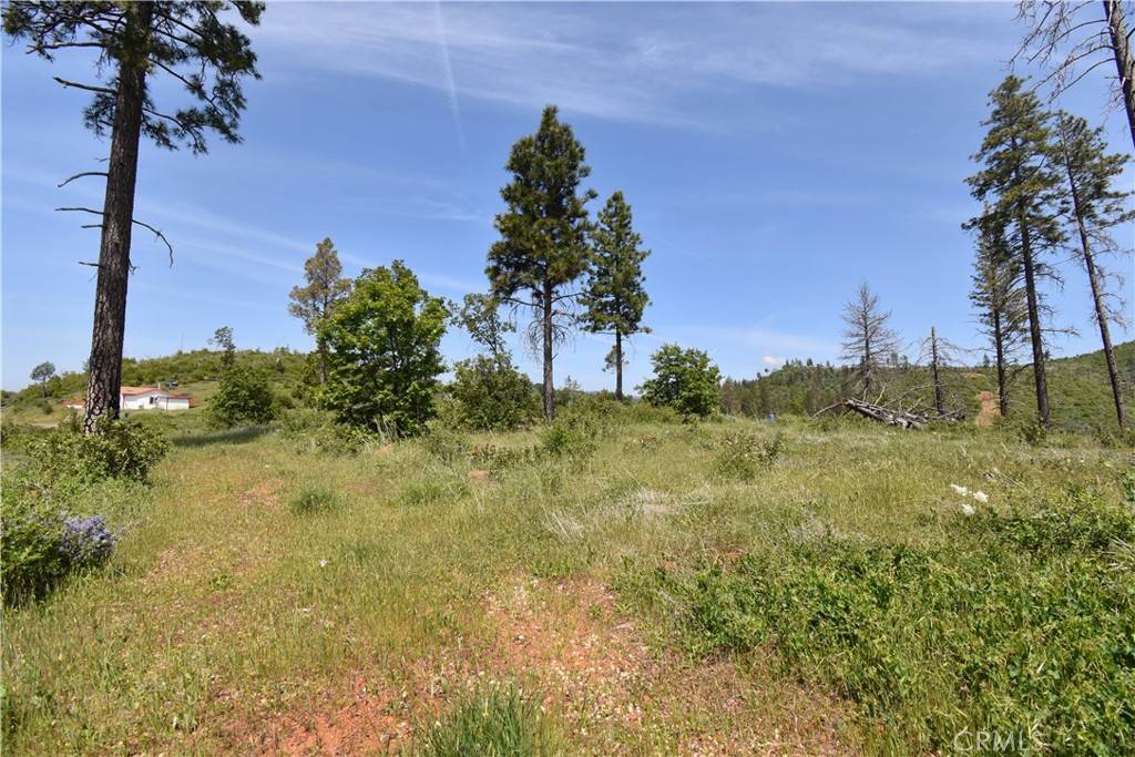 Oroville, CA 95965,0 Stone Mountain RD
