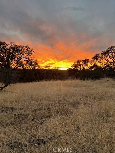 Oroville, CA 95965,1484 Oregon Gulch RD
