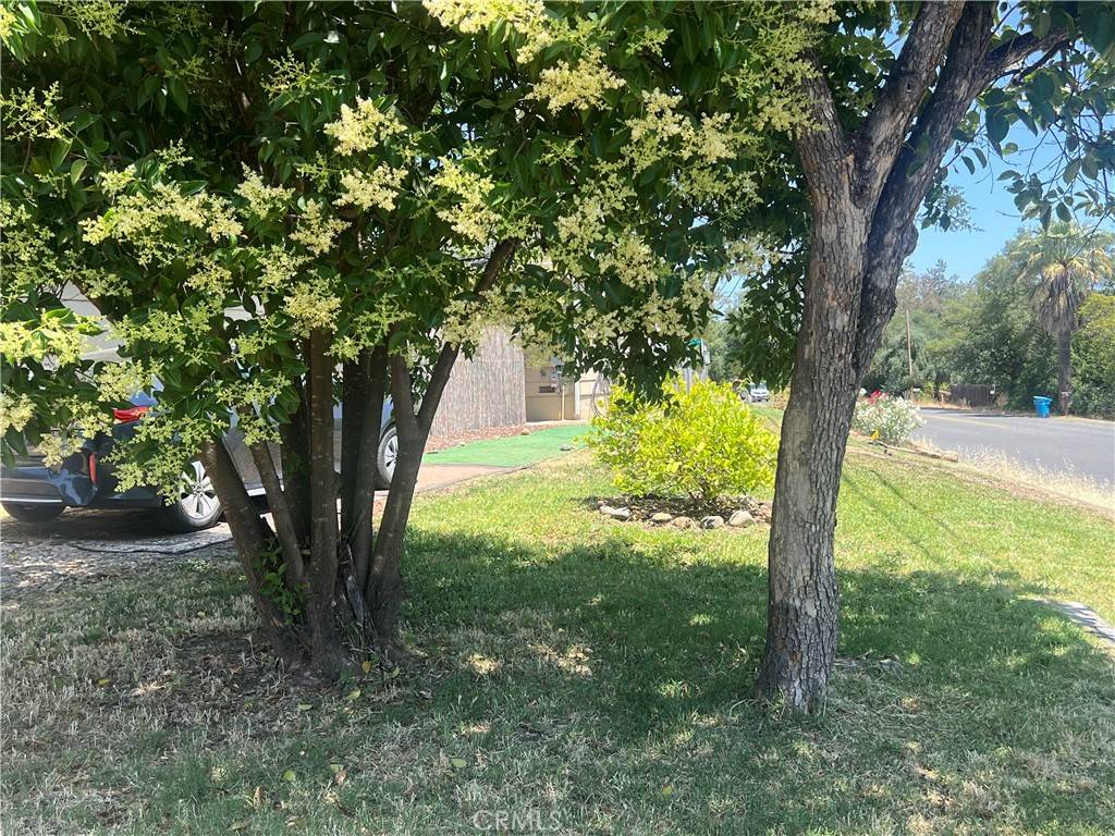 Oroville, CA 95966,2088 Campbell AVE