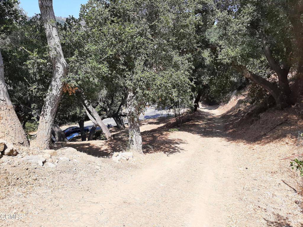 Topanga, CA 90290,1006 N Topanga Canyon BLVD