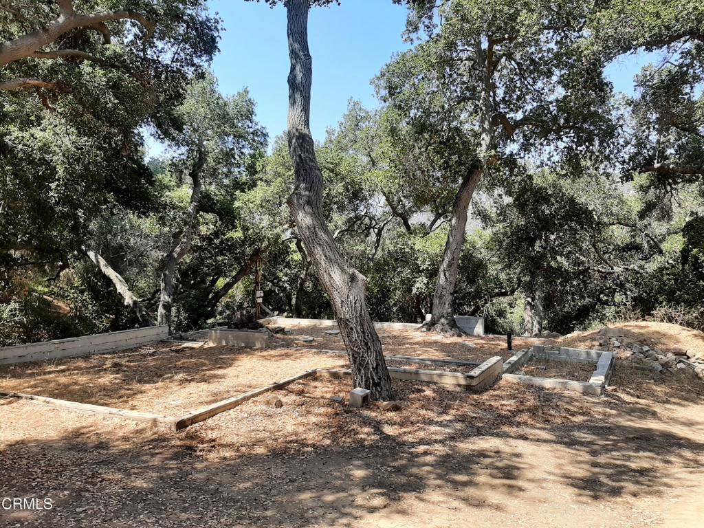 Topanga, CA 90290,1006 N Topanga Canyon BLVD