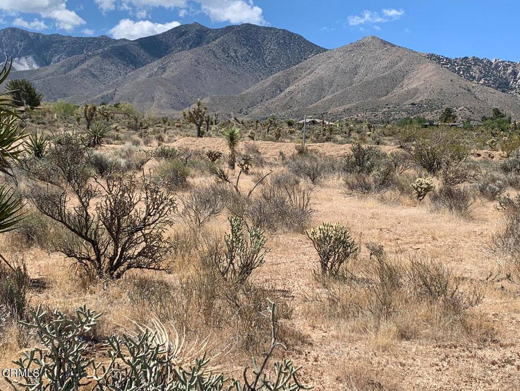 Lucerne Valley, CA 92356,0 Mountain View Rd