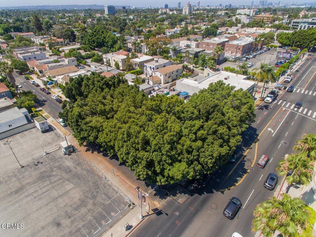 Los Angeles, CA 90038,5426 Melrose AVE