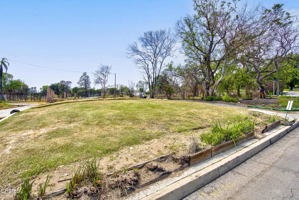 Altadena, CA 91001,2899 N Mount Curve AVE