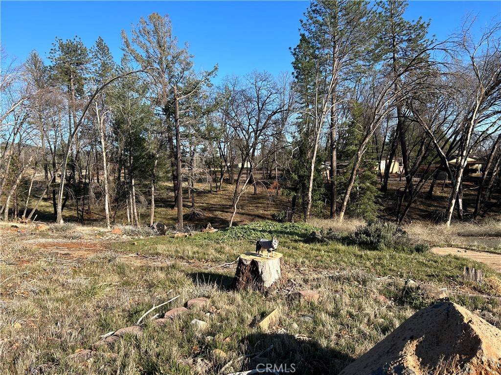 Magalia, CA 95954,6379 Zuckerman CT