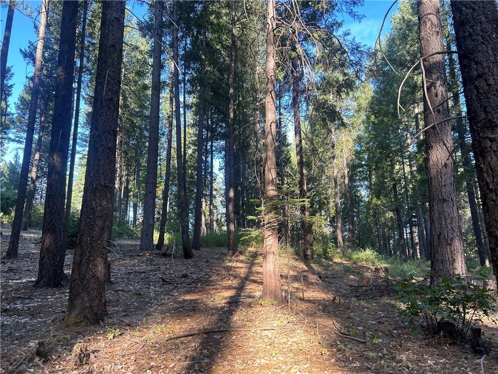 Magalia, CA 95954,6418 Hupp Coutolenc RD