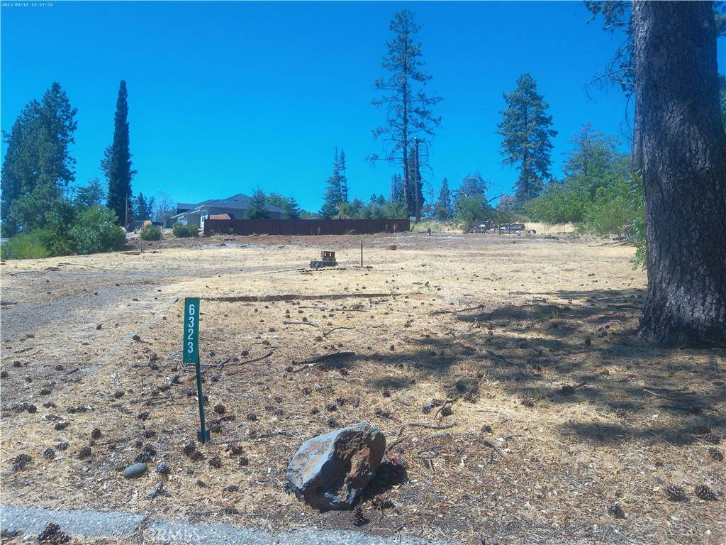 Paradise, CA 95969,6323 Forest LN