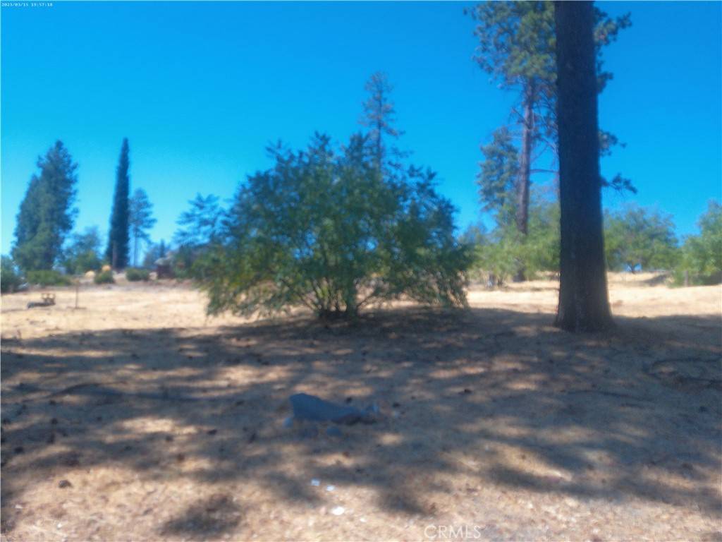 Paradise, CA 95969,6323 Forest LN