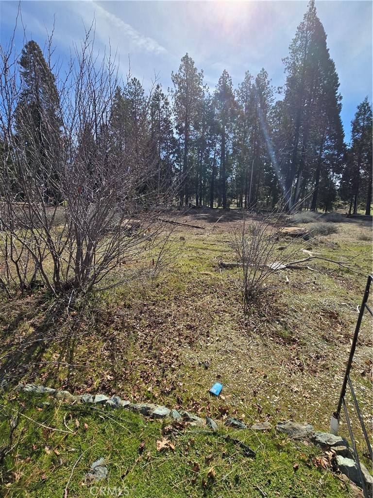 Magalia, CA 95954,13756 W Park DR
