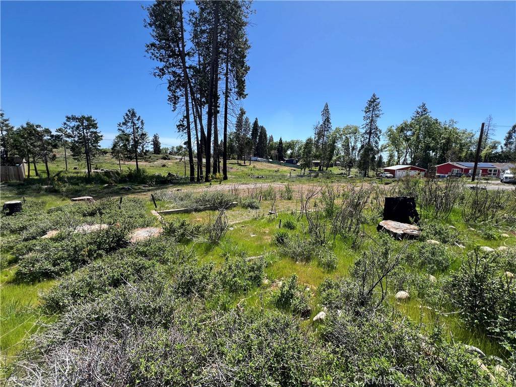 Magalia, CA 95954,13630 Einstoss CT