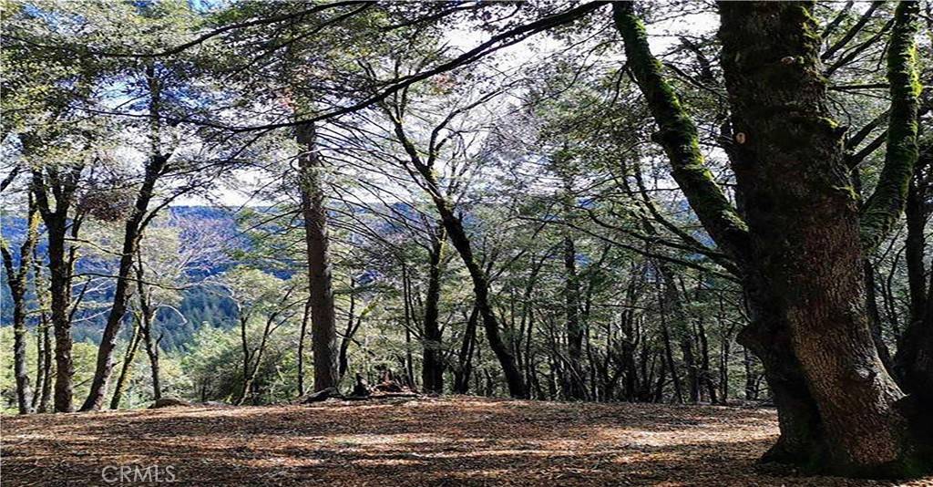Nevada City, CA 95959,15052 Red Hill Spring RD