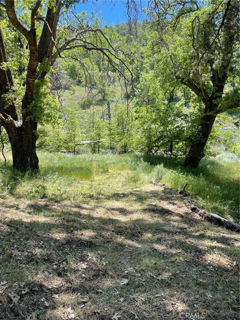 Tehachapi, CA 93561,0 Grindelwald Drive