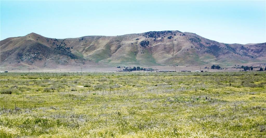 Santa Margarita, CA 93453,12450 Clio TRL