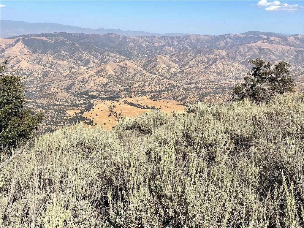 Tehachapi, CA 93561,25610 Jacaranda DR