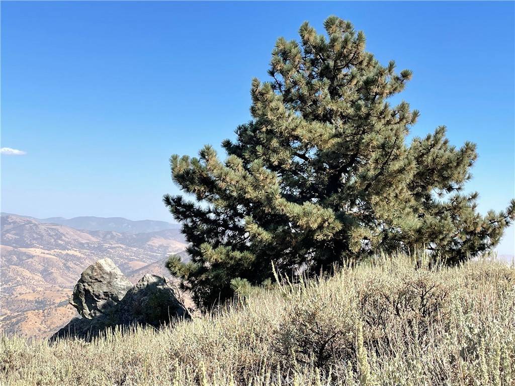 Tehachapi, CA 93561,25610 Jacaranda DR