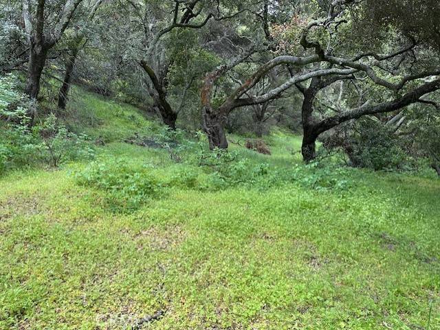 Santa Maria, CA 93454,0 Colson Canyon