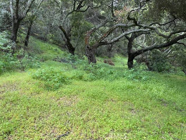 Santa Maria, CA 93454,0 Colson Canyon