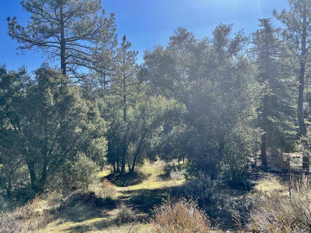 Pine Valley, CA 91962,7524 Corte Madera Rd