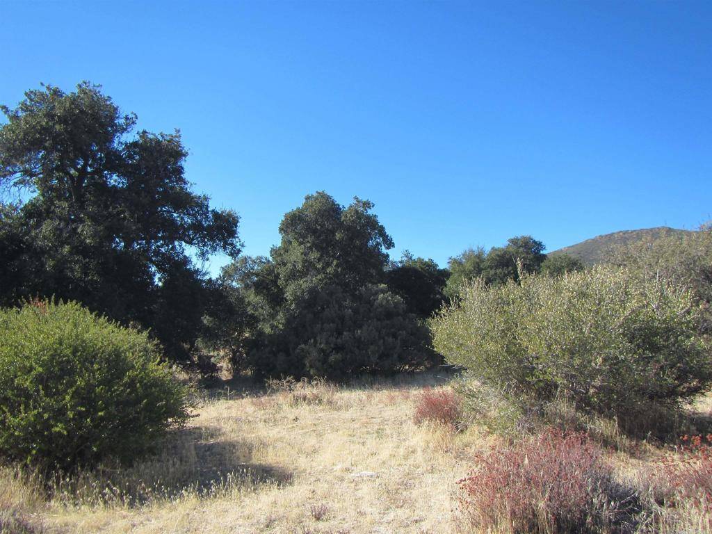 Campo, CA 91906,97 .51 acres Hwy. 94