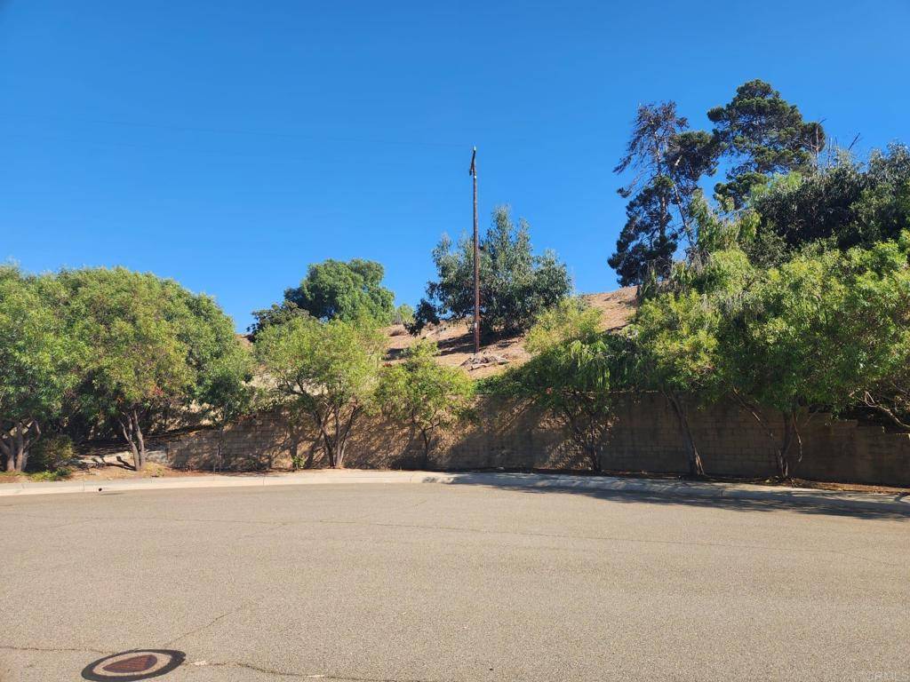 San Marcos, CA 92069,0 Arcadia Bluff CT