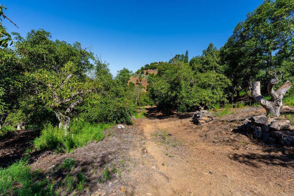 Fallbrook, CA 92028,0 Wilt Road