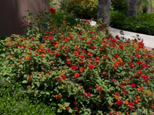 El Cajon, CA 92020,467 Ballantyne ST #47