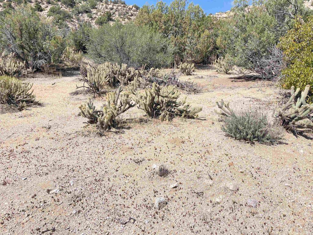 Jacumba, CA 91934,16 .44 Acres Boundary Creek
