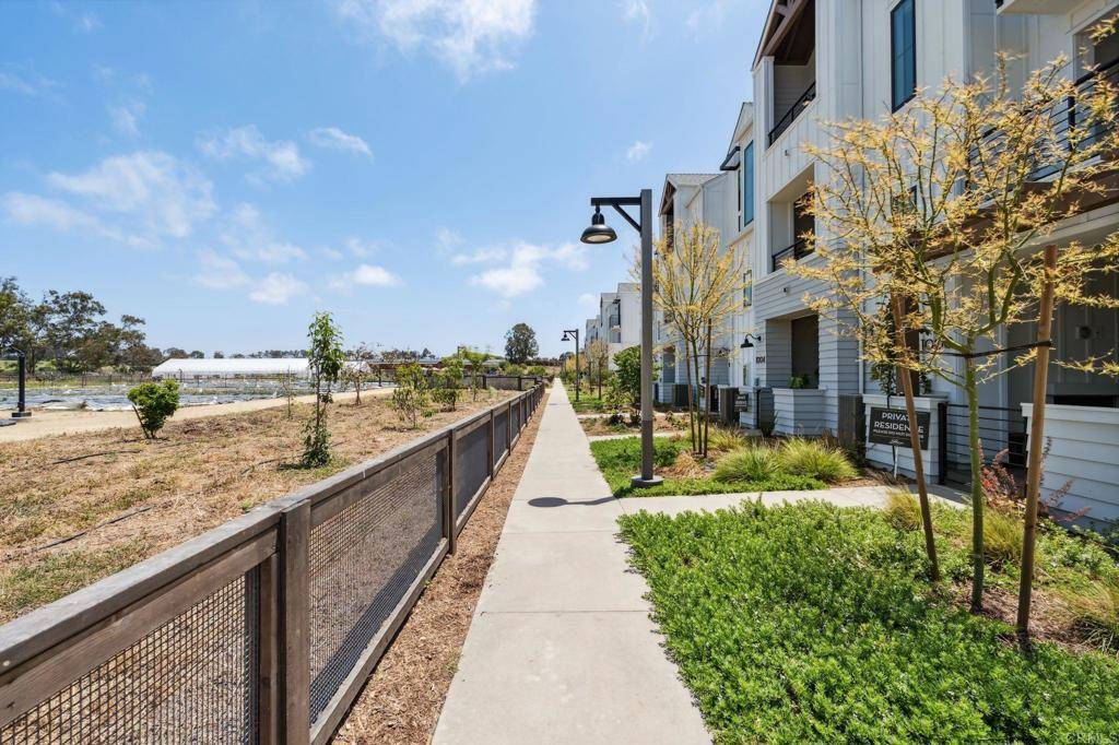 Encinitas, CA 92024,1004 Palmaria CT